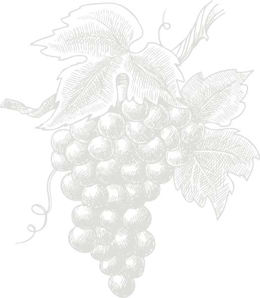 Illustration grappe de raisin dessin en noir et blanc - Cave Le pif en l'ar - Centre ville de Rennes