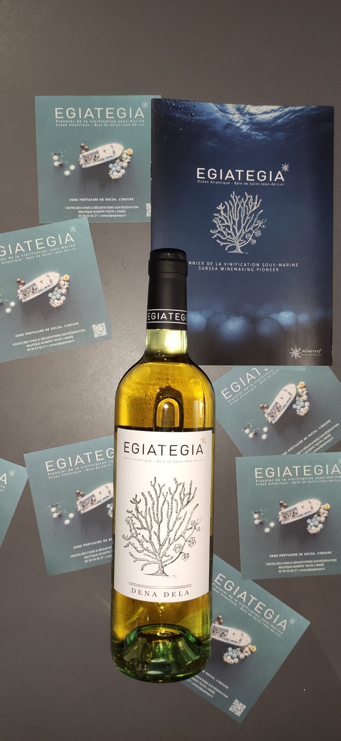 Egiategia - Vinification sous marine - Vin blanc - Cave Le Pif en l'Air à Rennes