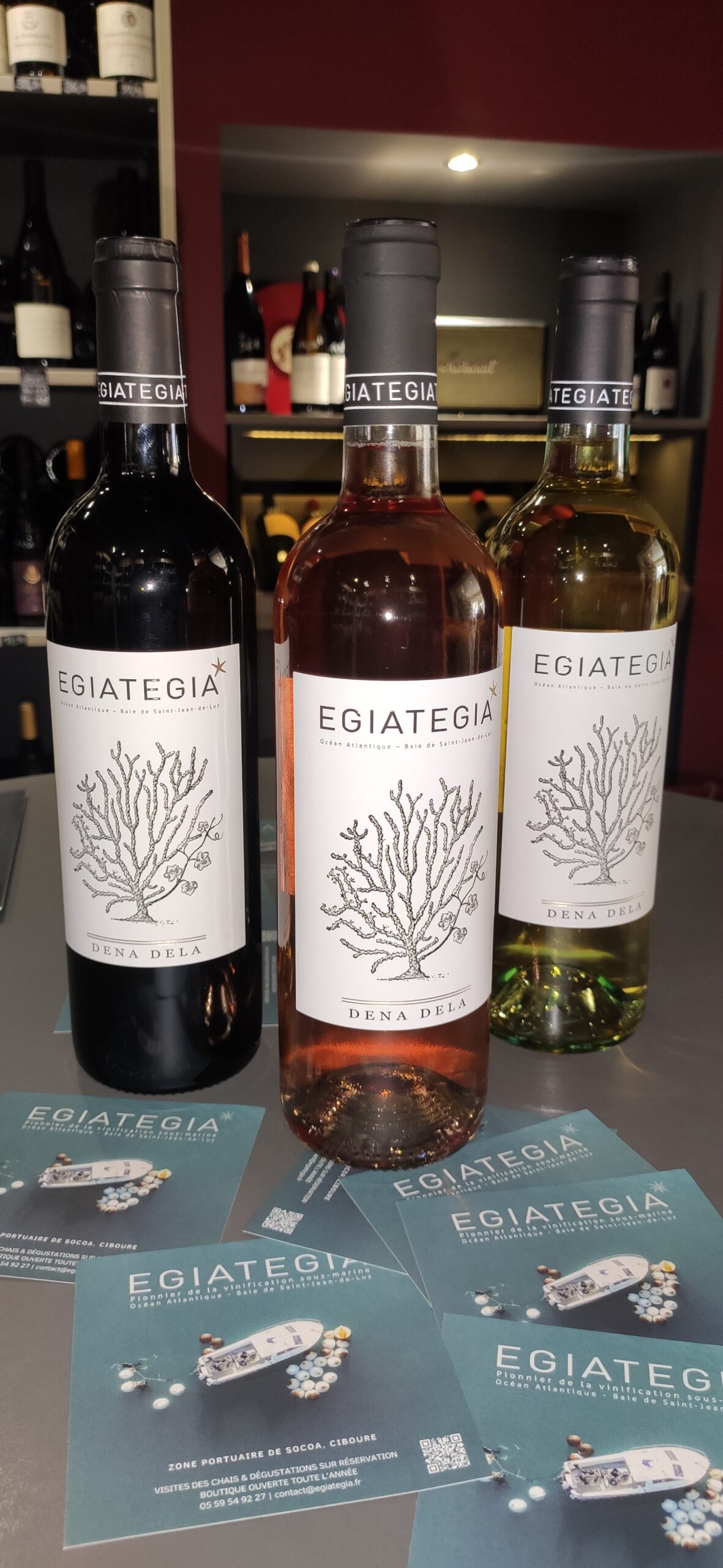 Egiategia - Vinification sous marine - Vin rosé, blanc et rouge - Cave Le Pif en l'Air à Rennes