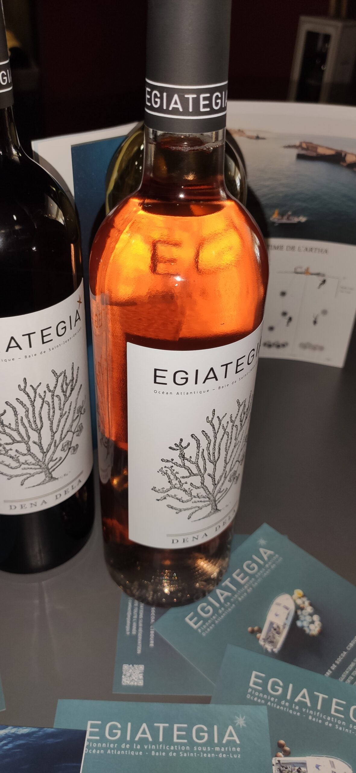 Egiategia - Vinification sous marine - Vin rosé et rouge - Cave Le Pif en l'Air à Rennes