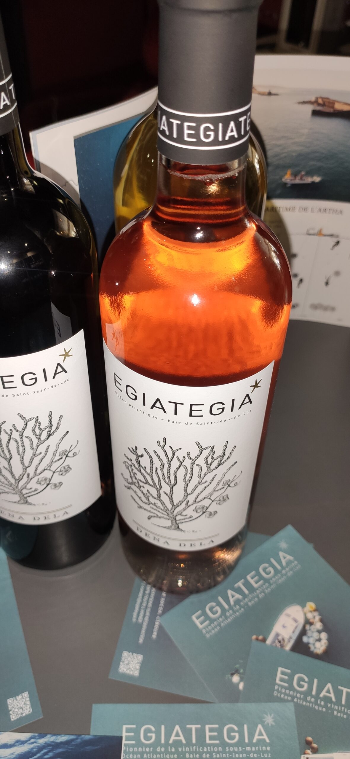 Egiategia - Vinification sous marine - Vin rosé et rouge autre- Cave Le Pif en l'Air à Rennes