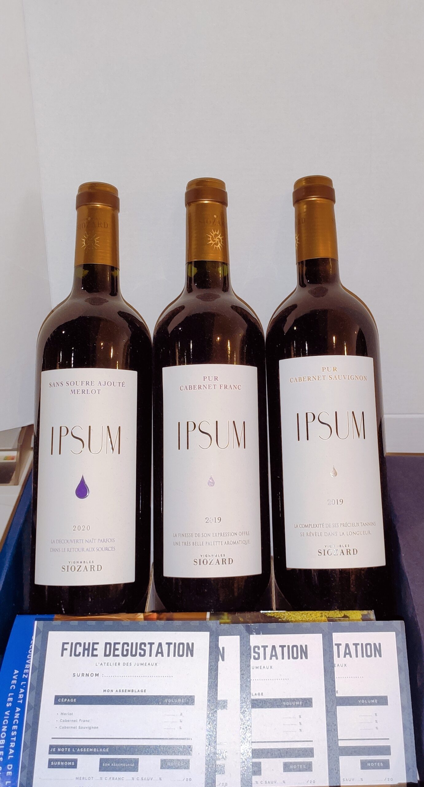 IPSUM Pur Cabernet Franc - Vignobles SIOZARD - Vin Rouge -Cave Le Pif en l'air à Rennes