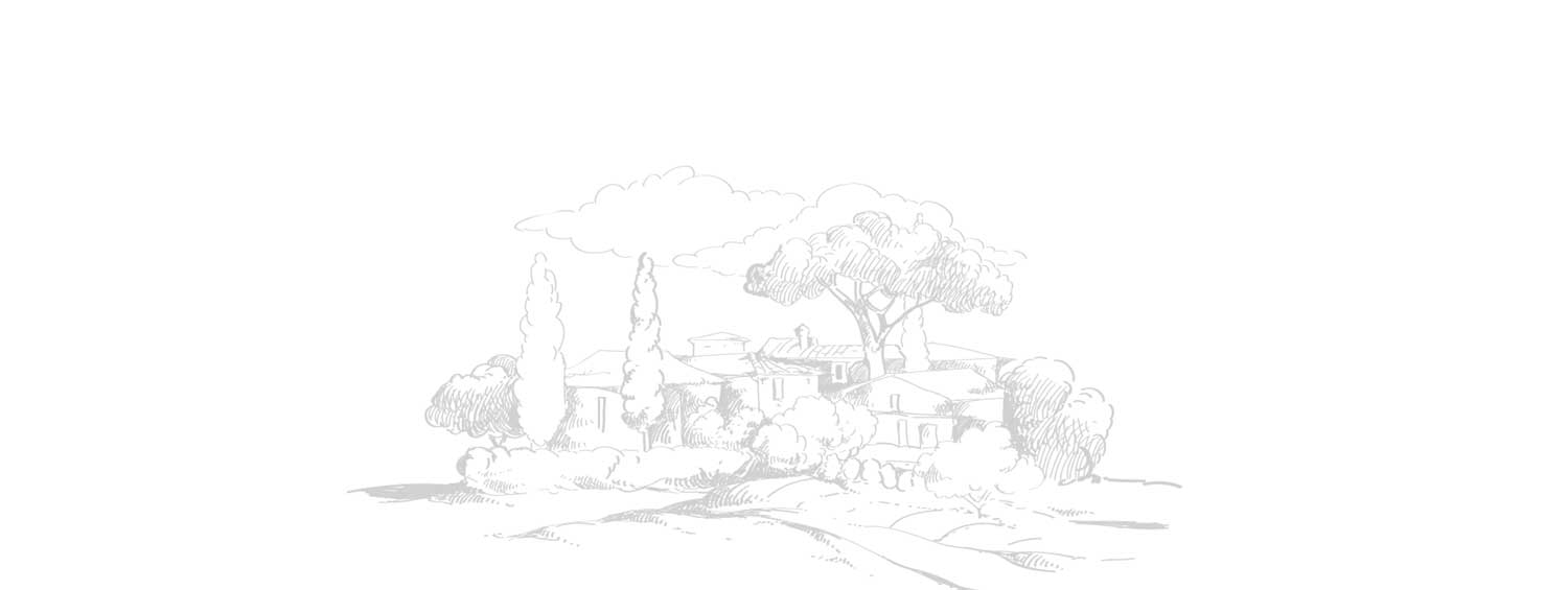 Dessin domaine viticole - Cave Le pif en l'air dans le centre de Rennes